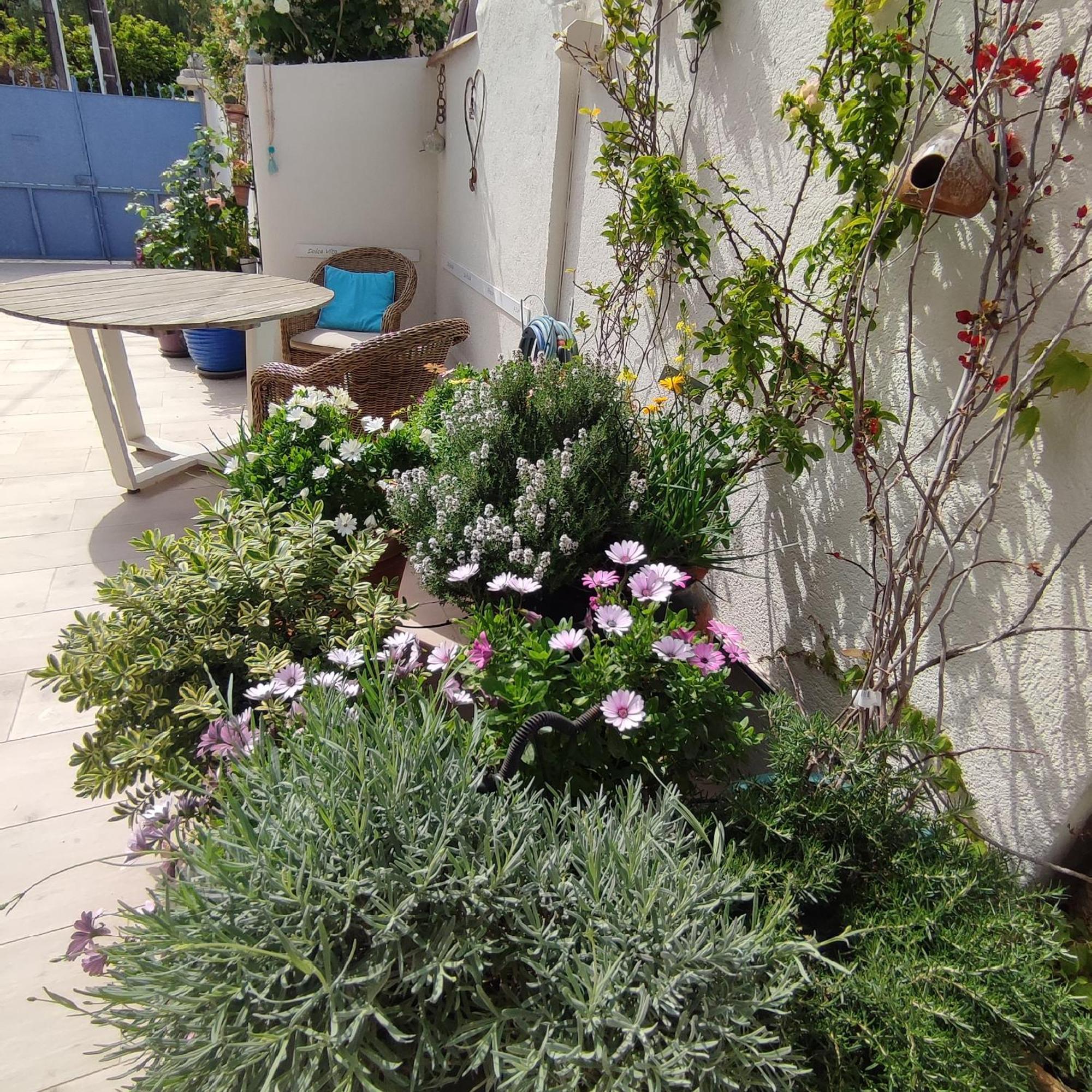 Appartement Maison Juan Les Pins, Plages, Charme *