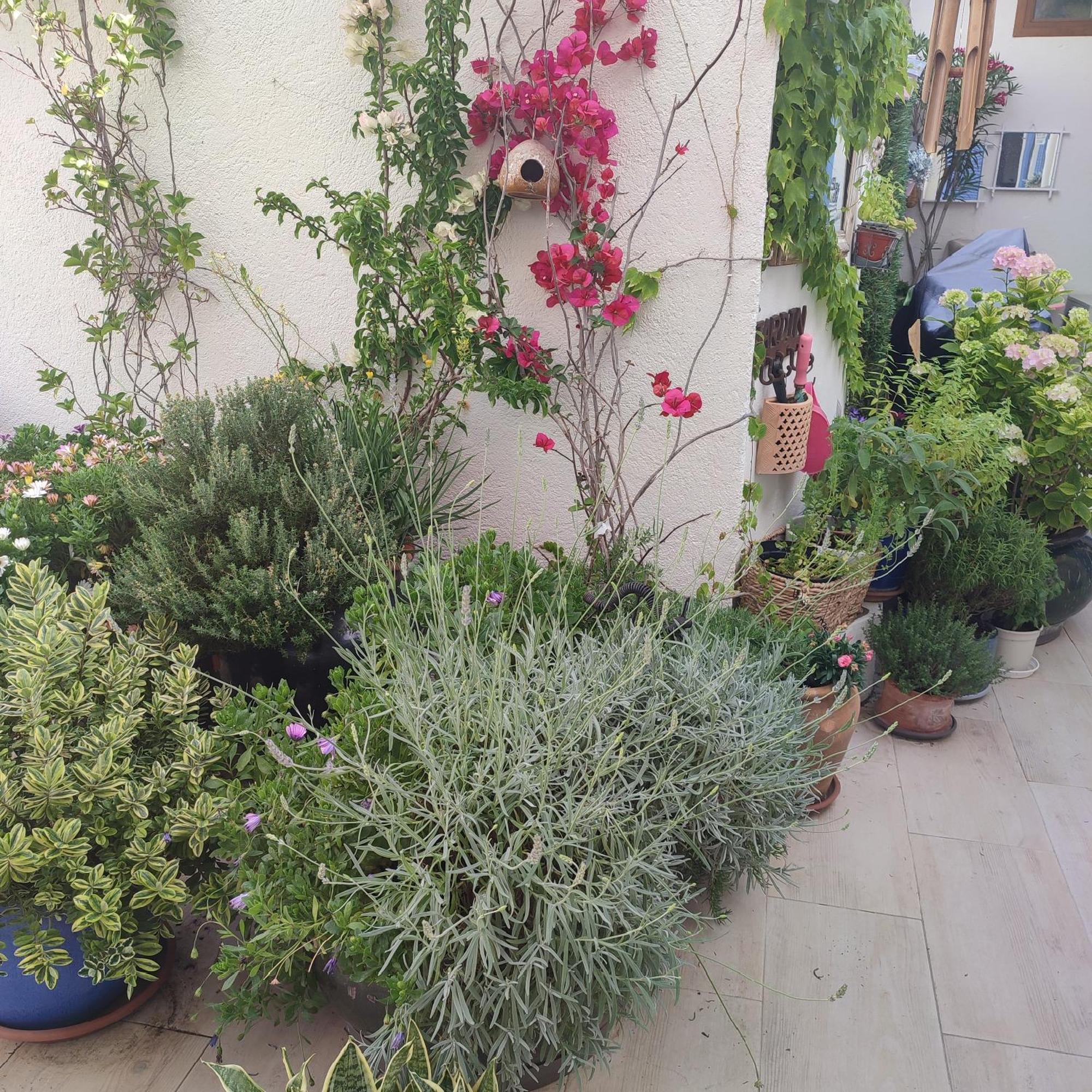 Maison Juan Les Pins, Plages, Charme * Antibes