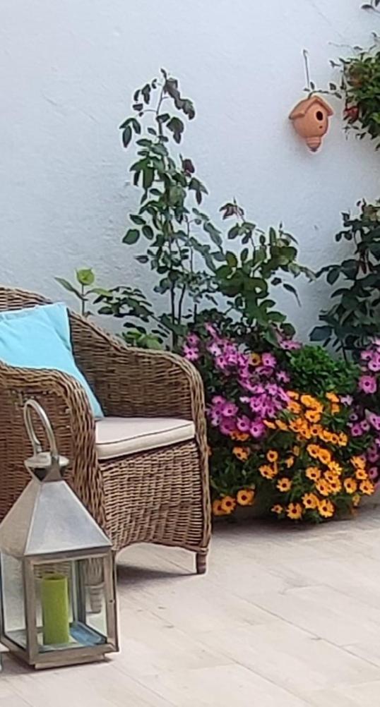 Appartement Maison Juan Les Pins, Plages, Charme *